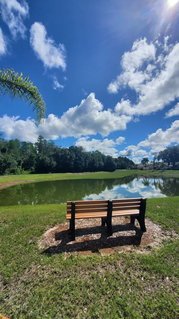 Two wooden benches are sitting next to a lake on a sunny day.