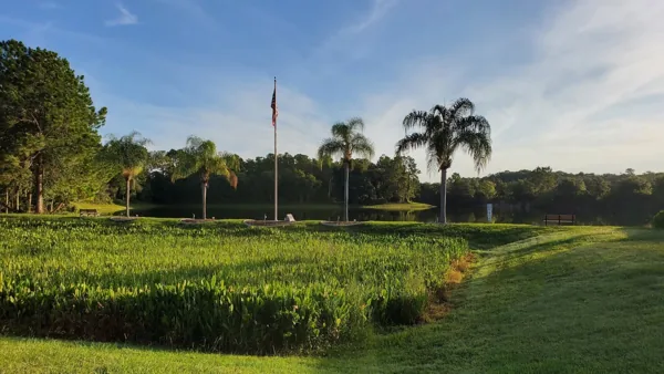 A lush green field with trees and a flag in the background