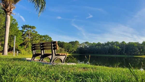 A park bench is sitting next to a lake in a park.